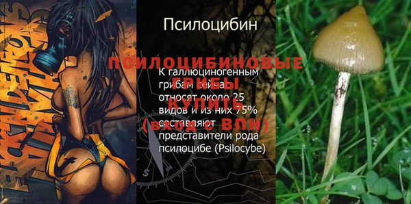 бошки Ладушкин