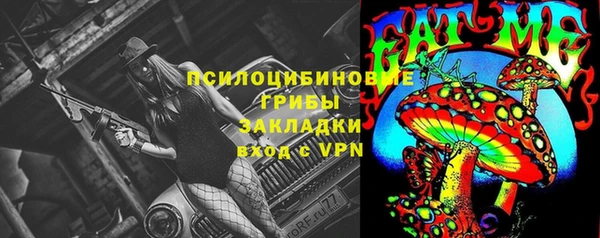 гидропоника Лагань