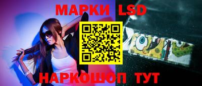 mdma Гатчина