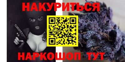mdma Гатчина