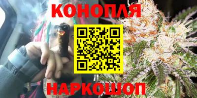 mdma Гатчина