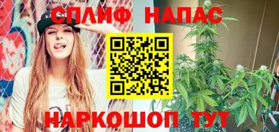 mdma Гатчина