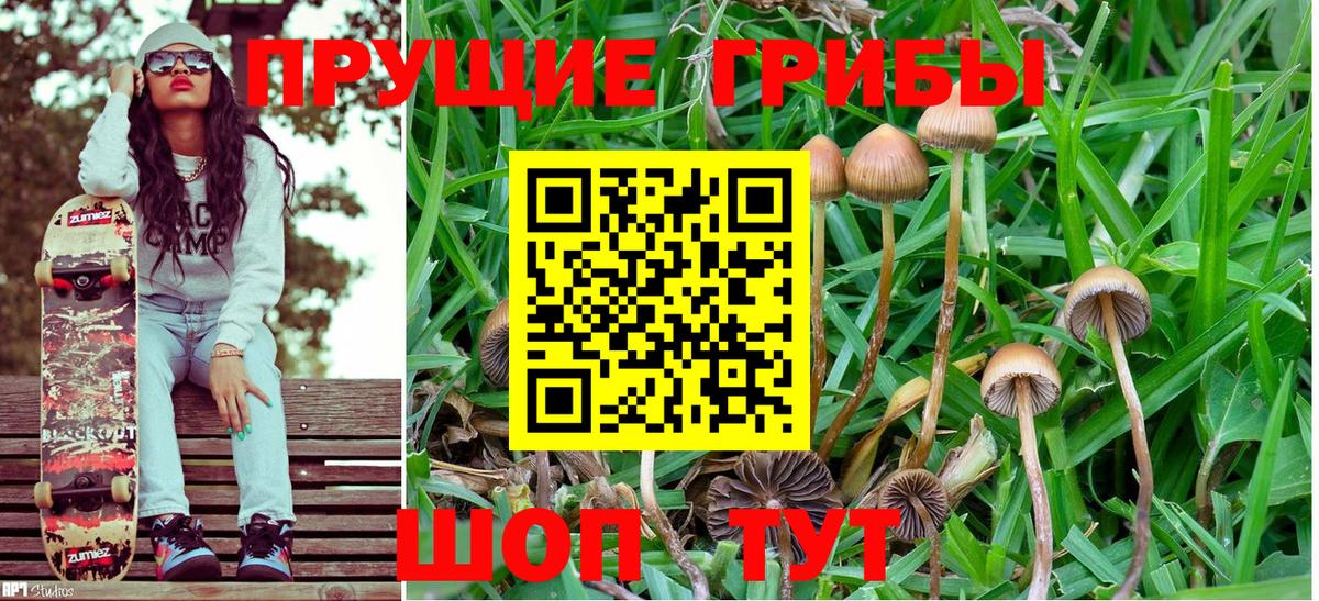 Магнитогорск  Псилоцибиновые грибы MAGIC MUSHROOMS  Вход с VPN 